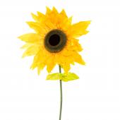 Jumbo Sunflower Stem 67"